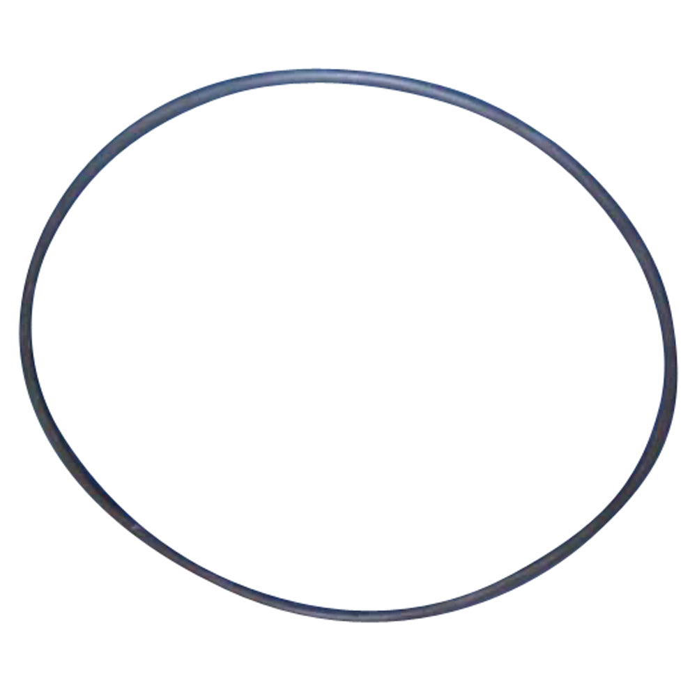 Davey Spa Quip® Series 1000 Lid O'ring Replacement