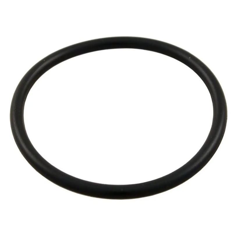 Aqua-Flo XP2/XP2e and Waterway Pump Union O’ring