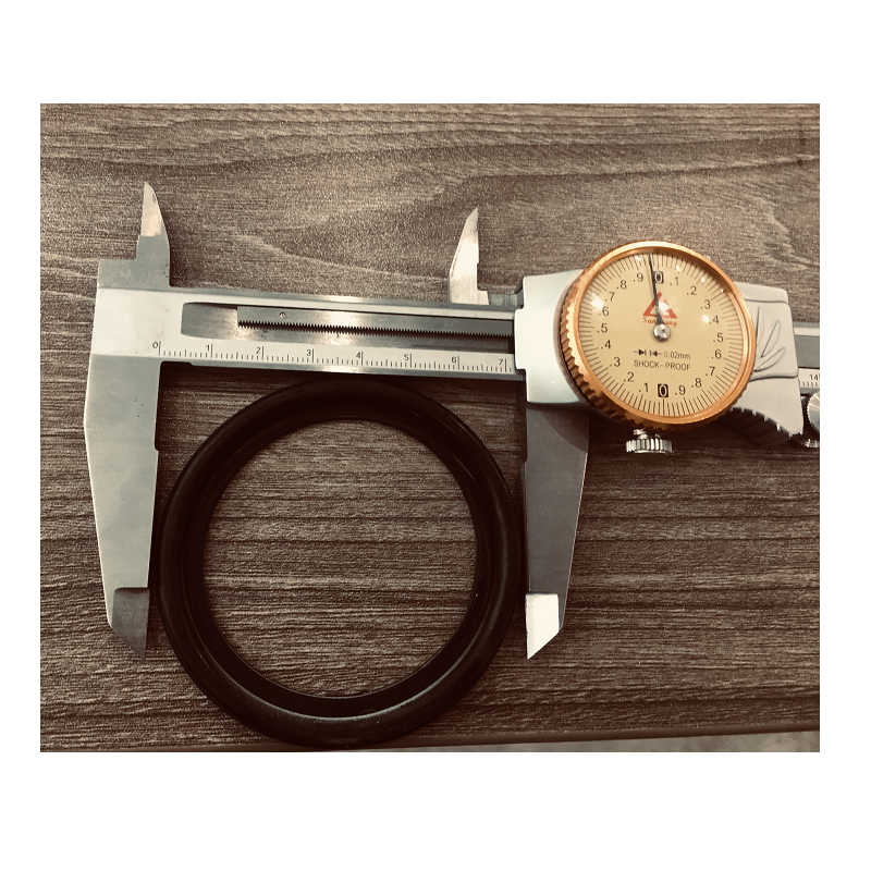 Union O-Ring only (D71*4.5mm) at Spa Store New Zealand