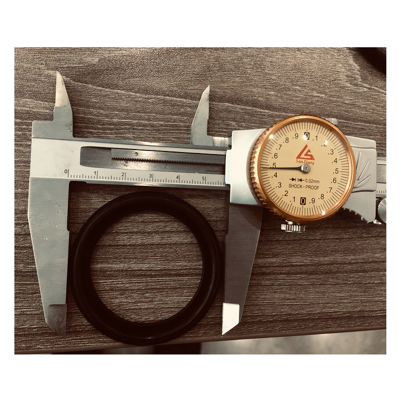 Union O-Ring only (D55*3.5mm) at Spa Store New Zealand