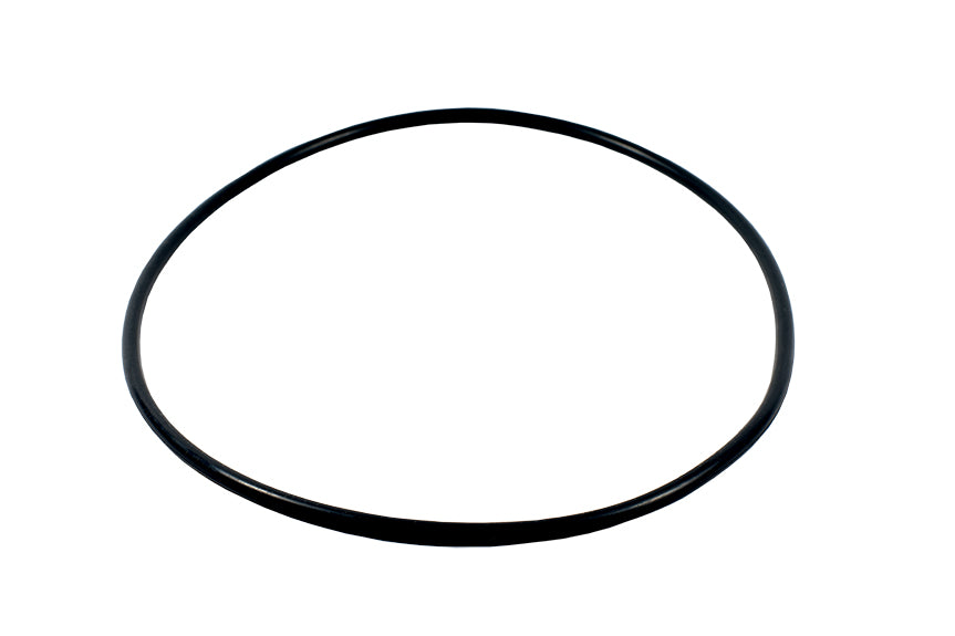 SpaNet JetMASTER Pump Cover O-Ring XS30-OPC