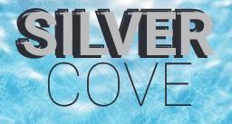 2 Bottles of Silver Cove Spa Pool Sanitiser 5 Litres