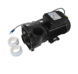 Spa Pumps