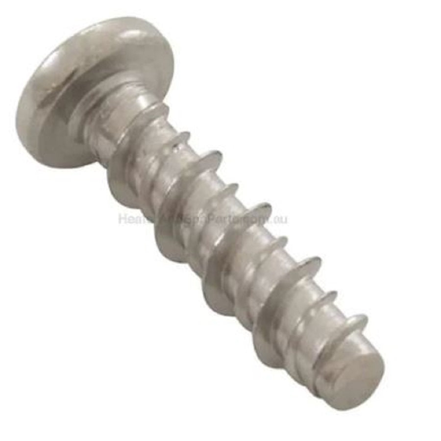 Balboa Heater Union Screw