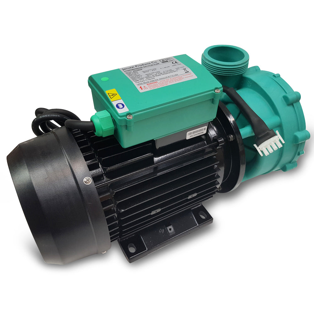 Jacuzzi 3Hp 2-Sp 9A Amp Pump