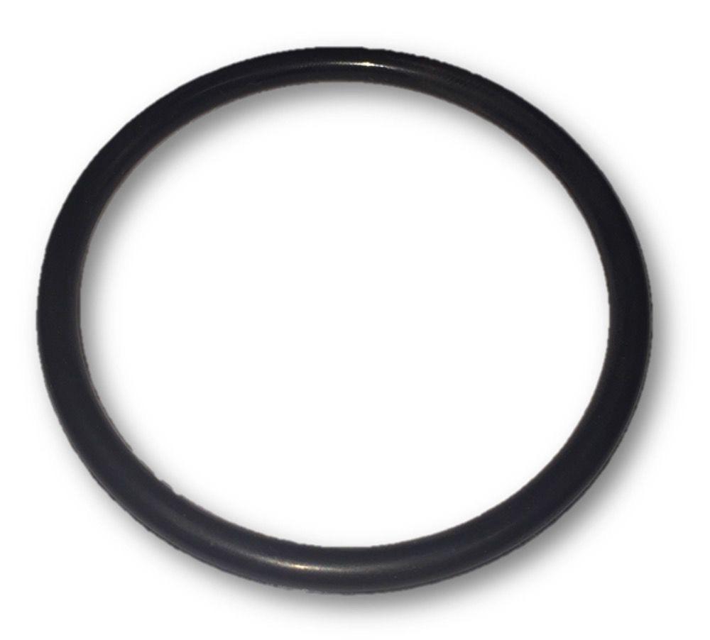 Davey QB/LX SpaNet XS Pump Barrel Union O'Ring