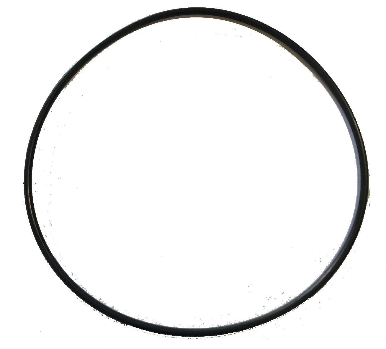 Piranha Boost Pump Body O'Ring