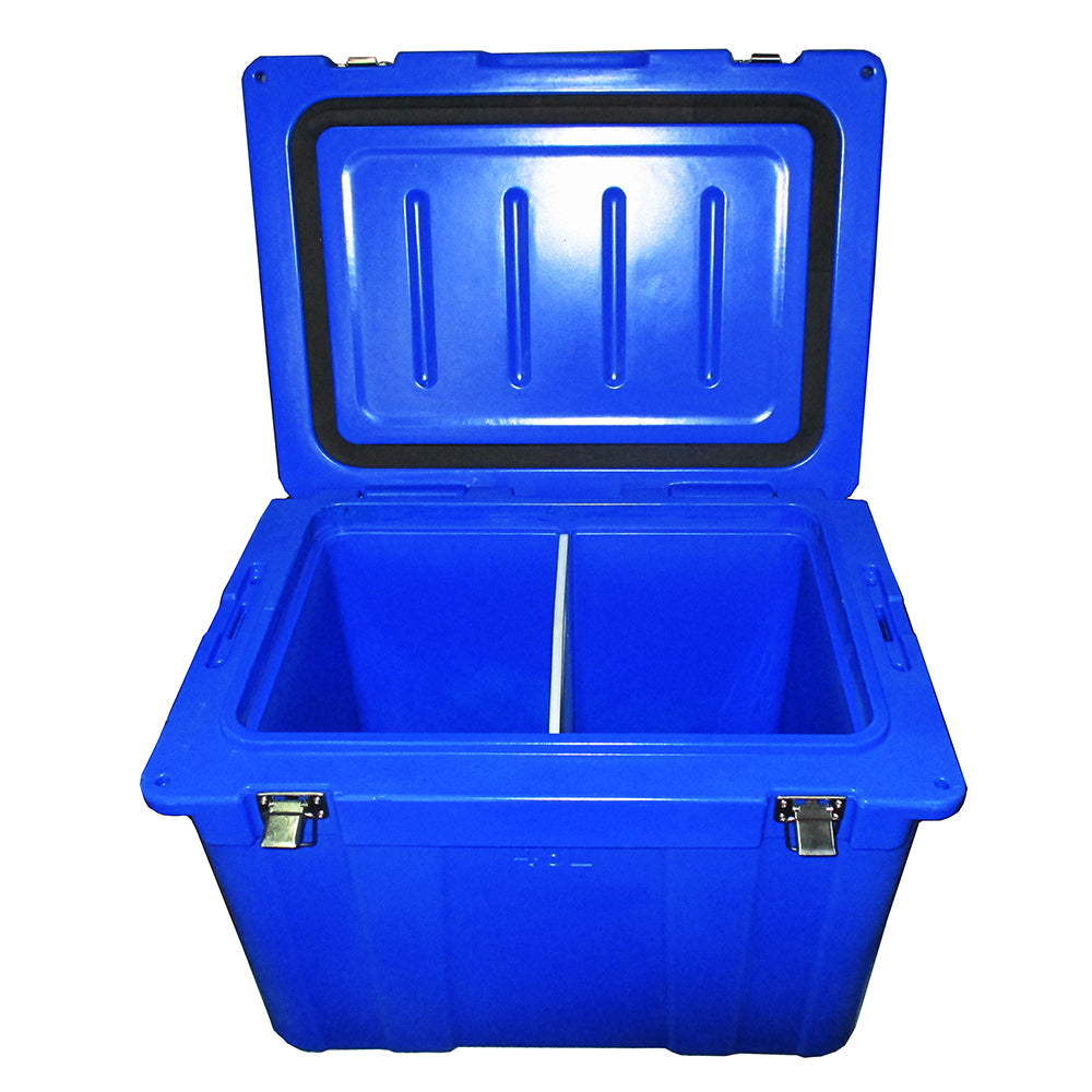 Coolerbox 48L with Plastic Divider at Spa Store New Zealand